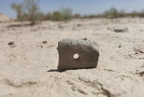 插图1:河西走廊上遗存的古陶片。摄影:陈晓斌。拍摄日期:2020年6月。