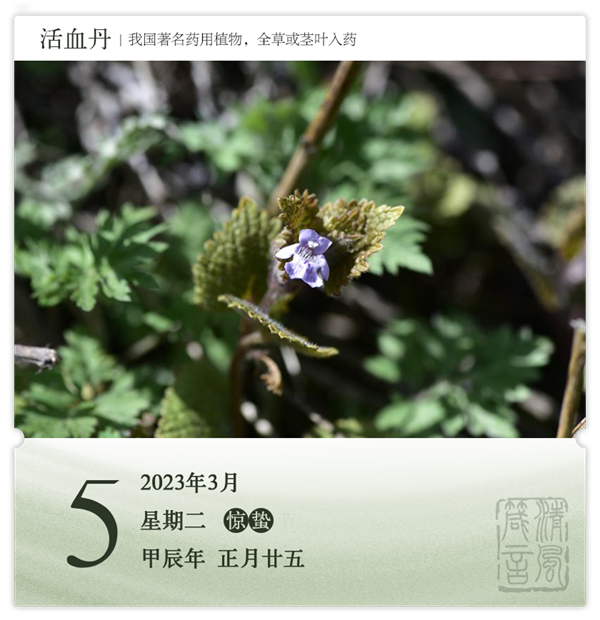 1709538343153884.png 箴历日历3-5.png