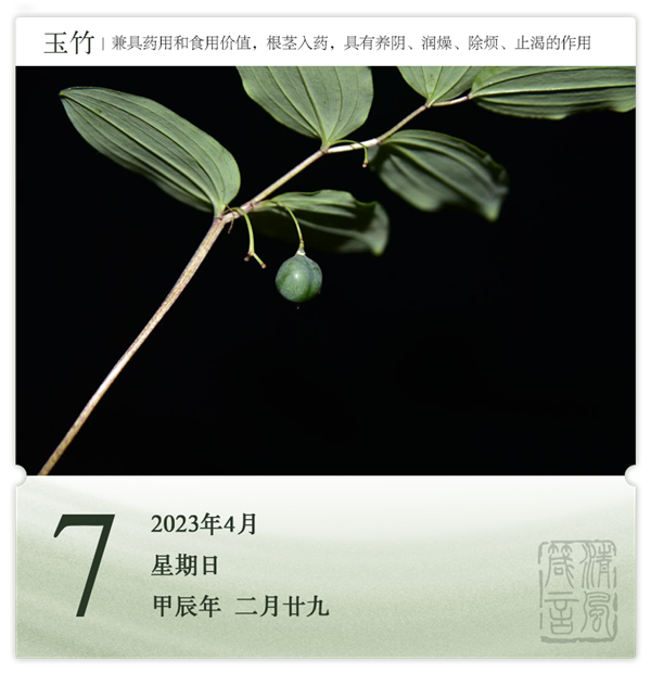 1712131566964415.png 箴历日历4-7.png