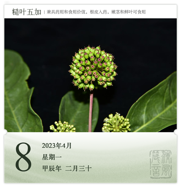 1712477584223646.png 箴历日历4-8.png