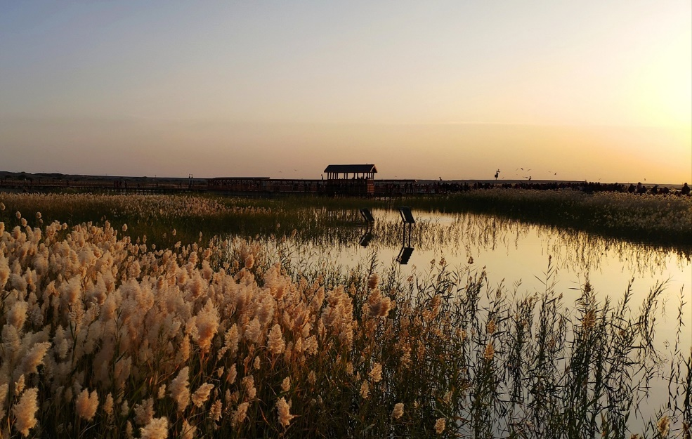 今居延海日出美景(图源:网络)