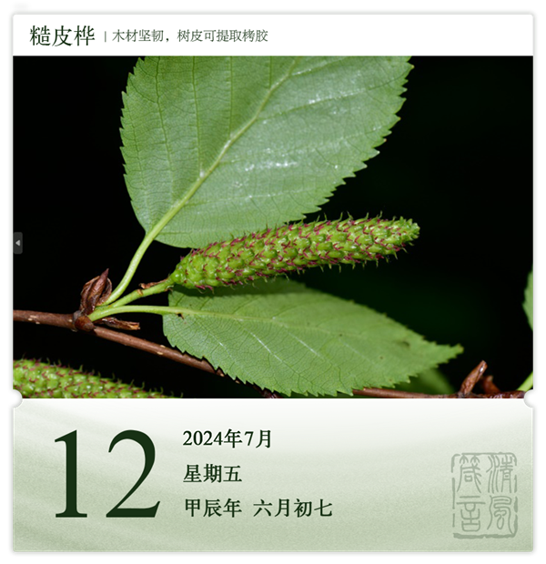 1720684775153305.png 箴历日历7-12.png