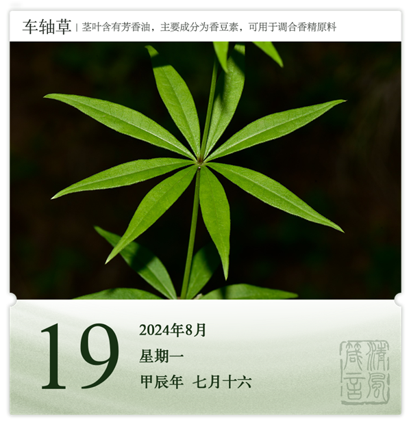 1722581560255797.png 箴历日历8-19.png