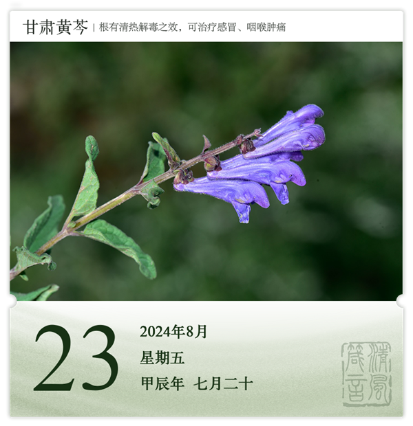 1722581916207510.png 箴历日历8-23.png