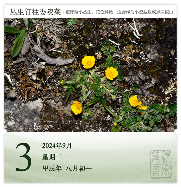 1725266464761626.png 箴历日历9-3.png