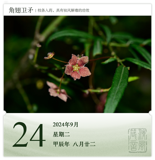 1726040354737466.png 箴历日历9-24.png