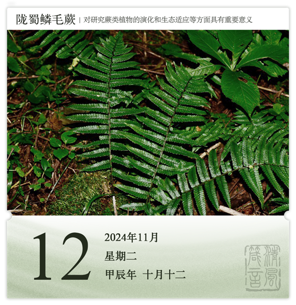 1730188449503285.png 箴历日历11-12.png