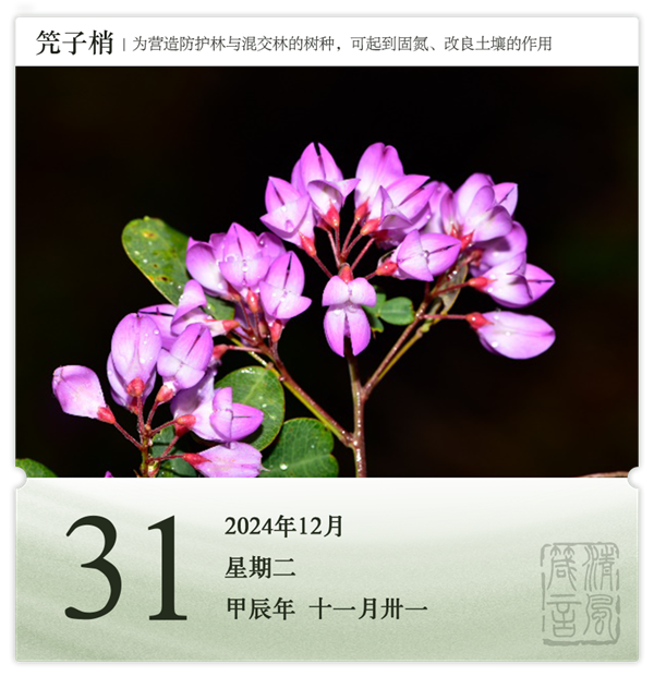 1732871894332124.png 箴历日历12-31.png