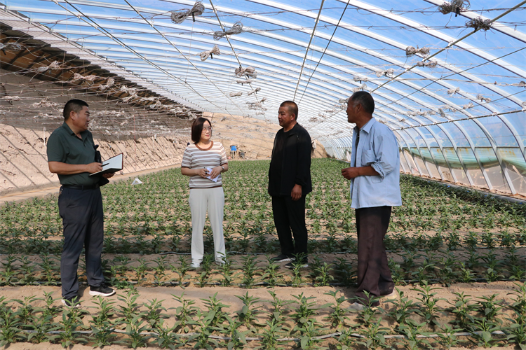 1736239510466320.png 图片2.png