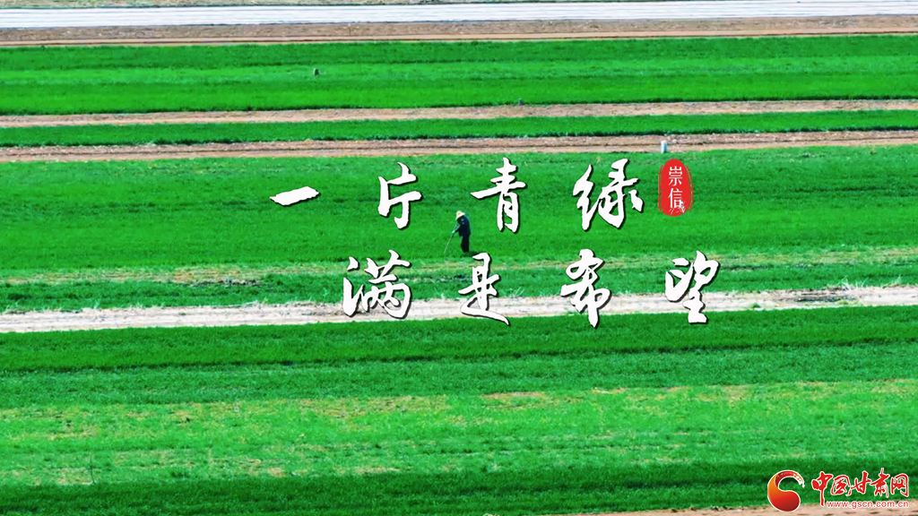 平凉崇信:沃野铺翠绘就春日好“丰”景