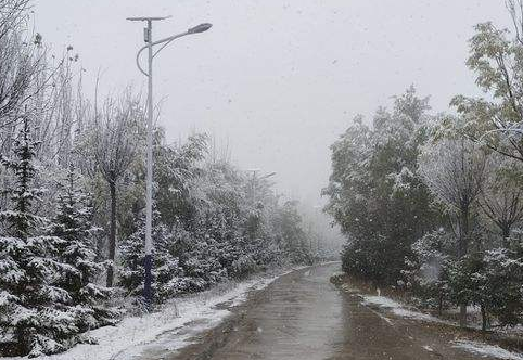 小雪本周光临兰州最低气温下降到-6℃