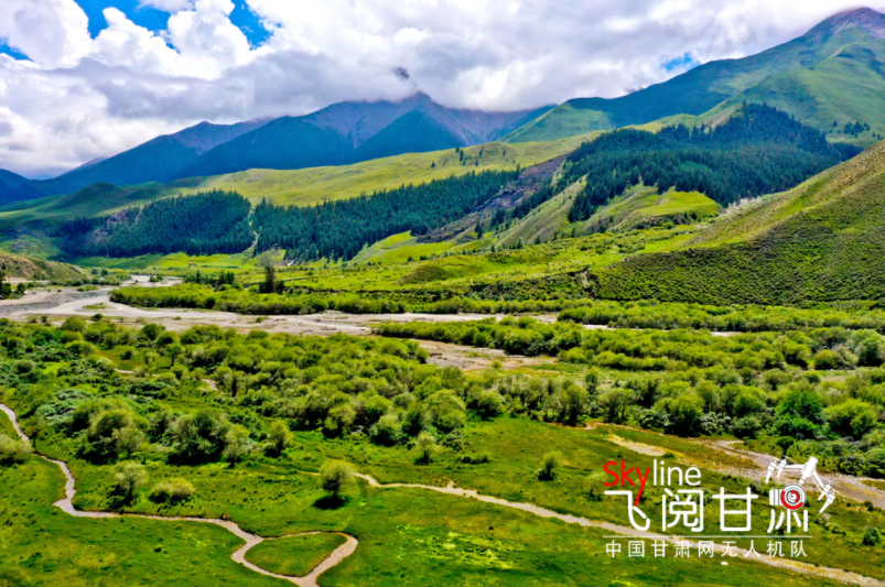 【飞阅凯发k8】祁连山国家公园：雨霁初晴 林海如画