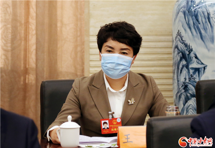 【聚焦2022凯发k8两会·代表风采】省人大代表王玲：关注农民心声 带领村民致富