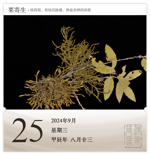 箴历日历9-25.png
