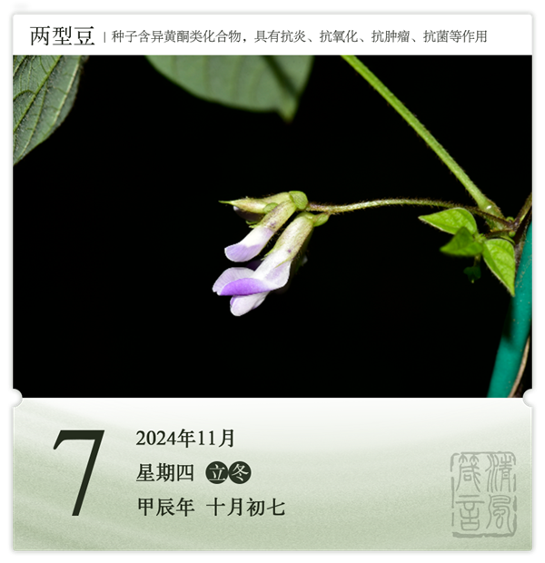 箴历日历11-7.png