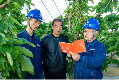 国网庆阳供电公司：电力赋能特色产业 精准服务助力乡村振兴